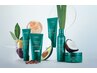 新規限定　カラー＋AVEDAトリートメント＋お土産付き♪→￥10500