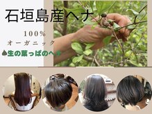 ルーチェ ヘアースタジオ(LUCE HAIR STUDIO)
