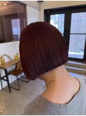 前髪なし大人ボブ×ワインレッドカラー