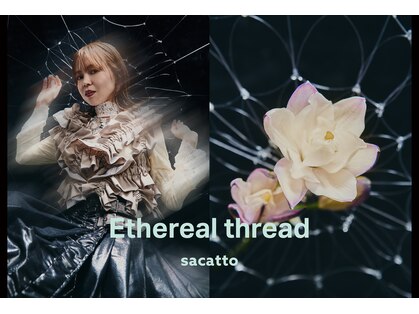 サカット(sacatto)の写真