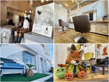 ディサイドロー(DECIDE L.A.W)の雰囲気(《浜松/美容室》自然光が入り温かみのある店内です!)