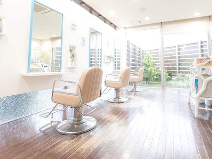 ベルーガの写真