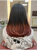 ラテ系裾カラー