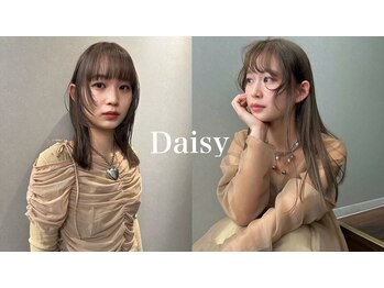 Daisy【デイジー】