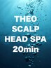 【ヘッドスパ/頭皮・毛髪ケア】メンズカット+THEOヘッドスパ20min　