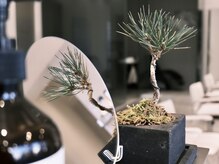 イリ(iLi)の雰囲気(居心地の良いお洒落で洗練されたサロン/立川/ブリーチ/イルミナ)