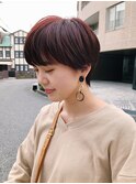 マニッシュショート オレンジレッドカラー
