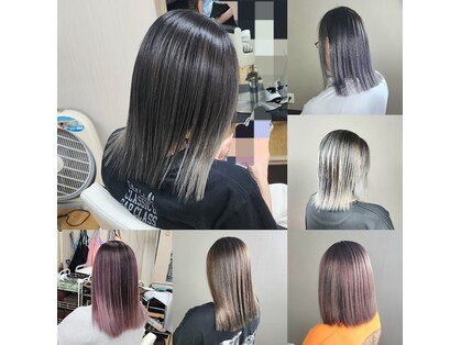 シャルシェ(Chercher)の写真