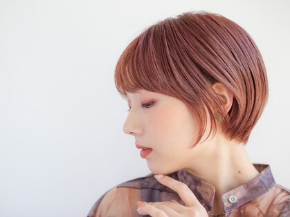 アッシュ 仙川店(Ash)の写真