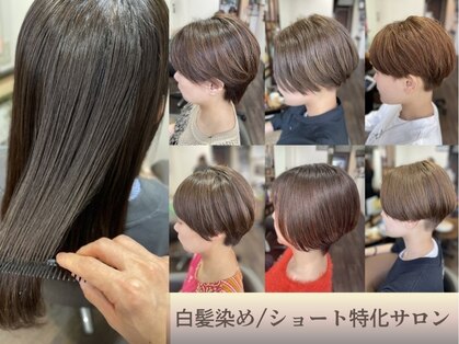 ファイブコネクション(5.connection)の写真