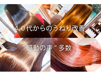 ミーム(meeme)の写真