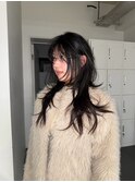 Black hair / High layer cut