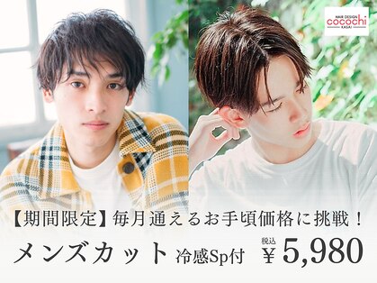 ココチ(Cocochi)の写真