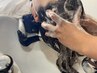 【こだわりのスパ付】カット＋選べるアロマスパ(25分)11550→10835