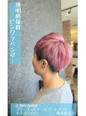 透明感抜群ピンクラベンダー