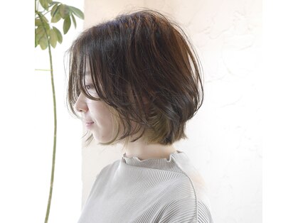 ユッカ(YUCCA)の写真