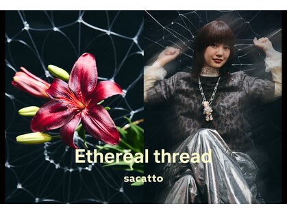 サカット(sacatto)の写真