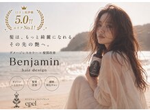 ベンジャミン(Benjamin)