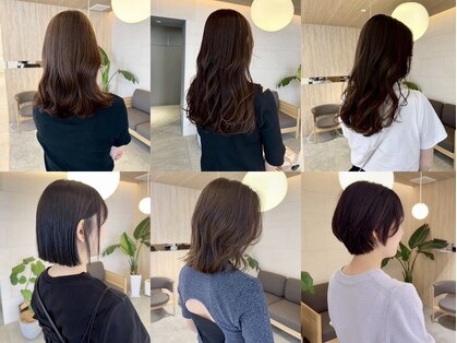 パカ(paka)の写真