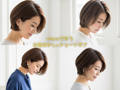 ヴィスコ(visco)の写真