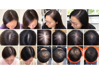 ライフステージ(Life Stage)の写真