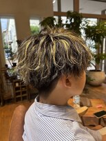 ボタニカ(Botanica)&nbsp;ハイライトマッシュ