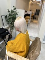 カリーナ(CARINA)&nbsp;ブリーチリタッチ/ハイトーンカラー