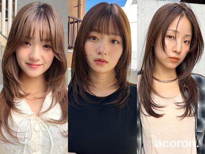 アコロン(acoron)の写真