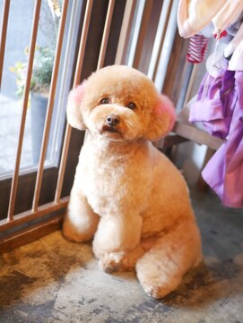 ガーフィー(garfy) カットシャンプーとカラーリング