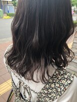 ハロ 蕨(HALO)&nbsp;ラベンダーアッシュ