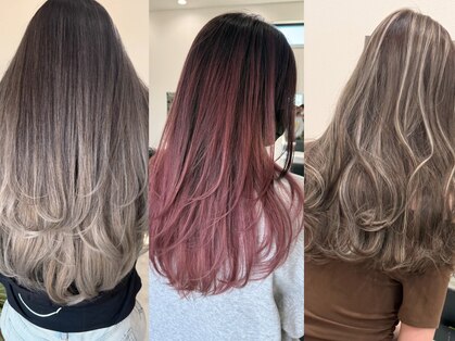 スワッグ(SWAG)の写真