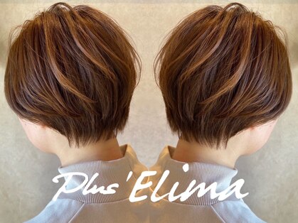 プラスエリマ 四日市(Plus Elima)の写真