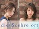 ディシェーレオルト(die Schere Ort)の写真