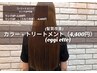 透明感color + oggi otto髪質改善 TR (4400円) ￥13,200→