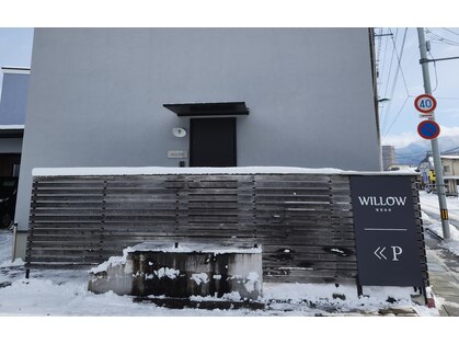 ウィロー(WILLOW)の写真