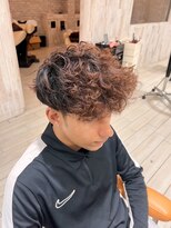 ウープス(Oops)&nbsp;スペインカール/早野太郎