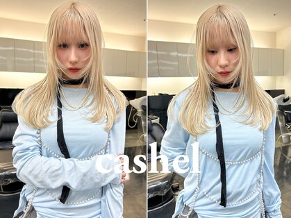カシェル(cashel kishaba)の写真