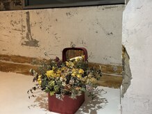 ロブリング(Roebling)の雰囲気（20％offキャンペーン実施中！English ok）