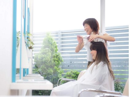 ベルーガの写真