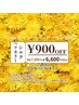 【お試し体験!】シルクカラー/¥900円引きクーポン