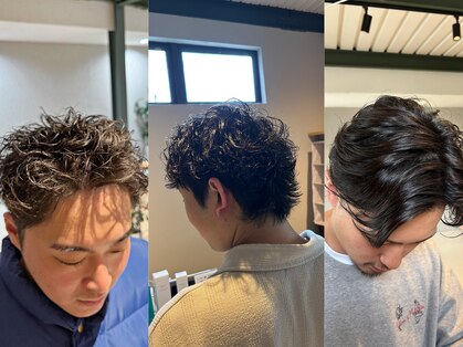 セルバ(Selva)の写真
