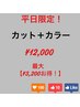 【平日限定！】カット + カラーが￥12000！　￥3200お得！