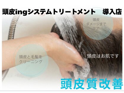 いろはの写真