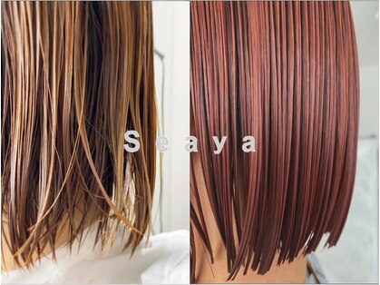 シーヤ(Seaya)の写真