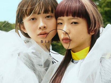 シーカ(siika)の写真