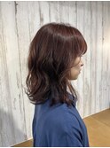 ロブ