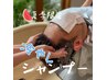 【夏季限定】爽快！冷やしシャンプーコース