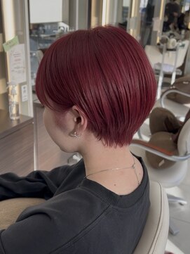 ブルーテーフ(Bleu Terre) 【ワインレッド】