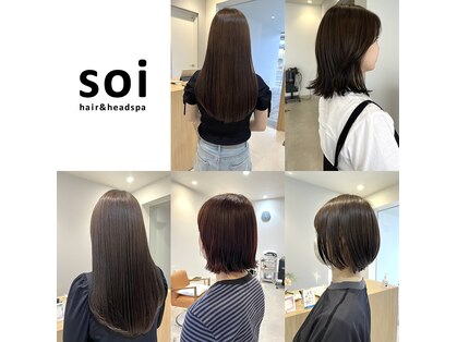 ソイ(soi)の写真