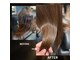 美容室ブラスパの写真
